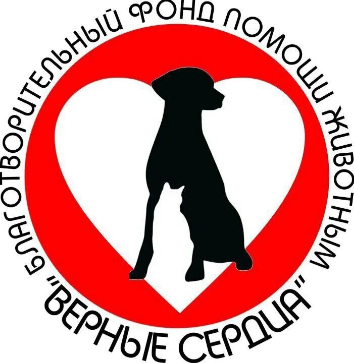 Организации по спасению животных. Фонд бездомных животных. благотворительность для бездомных животных. благотворительный фонд животных. фонд помощи бездомным животным.