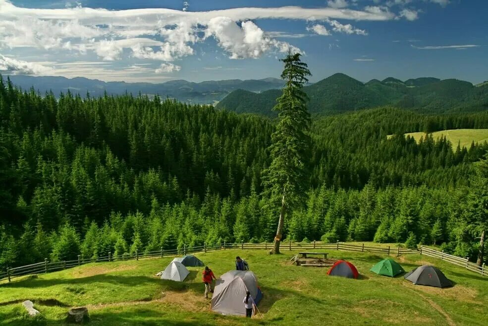 Tourism ecotourism. Экотуризм в России. Экологический туризм. Рекреационный туризм. Экологический туризмзм.