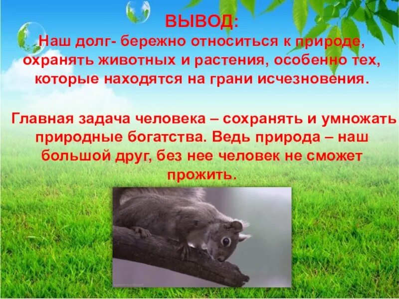 Зачем сохранять