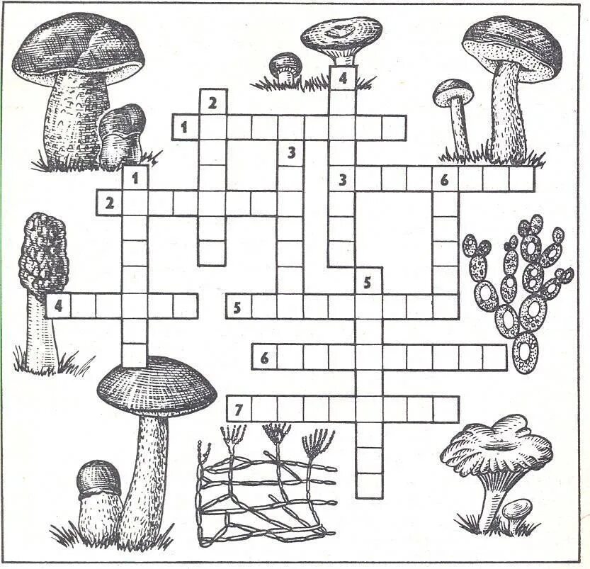 Кроссворд лишайники. Задания для детей по теме грибы. Грибы съедобные и несъедобные задания для детей. Грибы задания для дошкольников. Кроссворд про грибы.