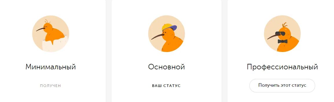 Киви основной. QIWI основной статус. Статусы киви кошелька. QIWI профессиональный. Верификация киви кошелька.