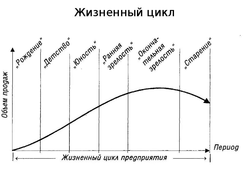 Стадии жизненного цикла организации. Стадии жизненного цикла предприятия. Стадий жизненного цикла организации. Фазы жизненного цикла предприятия.