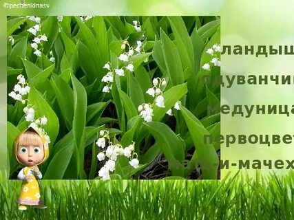 Игра первоцветы