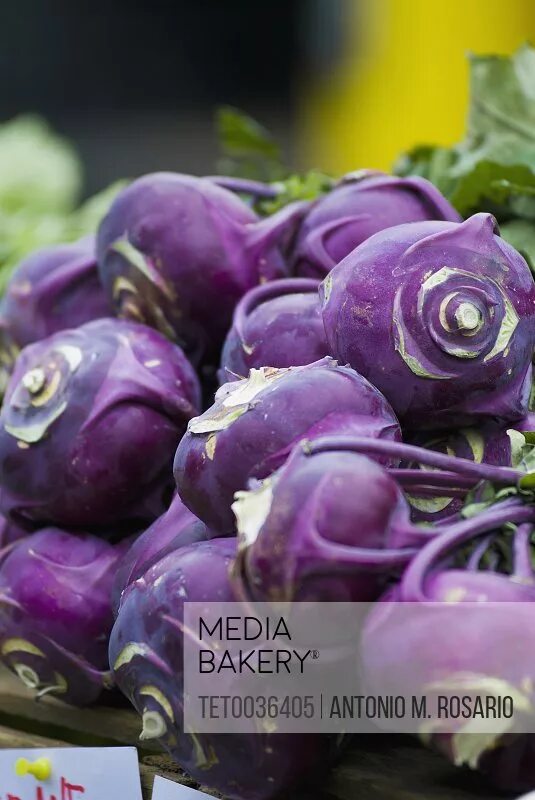 Кольраби красная. Капуста кольраби мадонна. Капуста кольраби фиолетовая. Кольраби род. Капуста кольраби 1 кг.