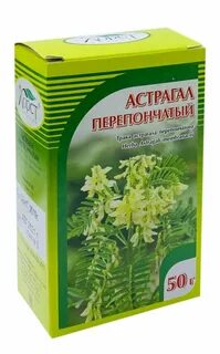 Астрагал перепончатый лечебные свойства