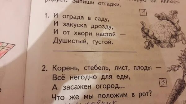 Придумать загадку 1 класс. Разгадываем загадки. Отгадывай загадки. Хитрые загадки. Загадки 2 корня