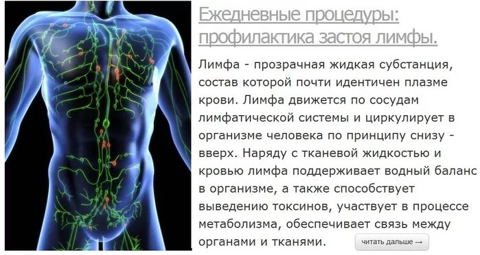 Застой лимфы проявление. Застой лимфатической системы. Застоявшейся лимфы