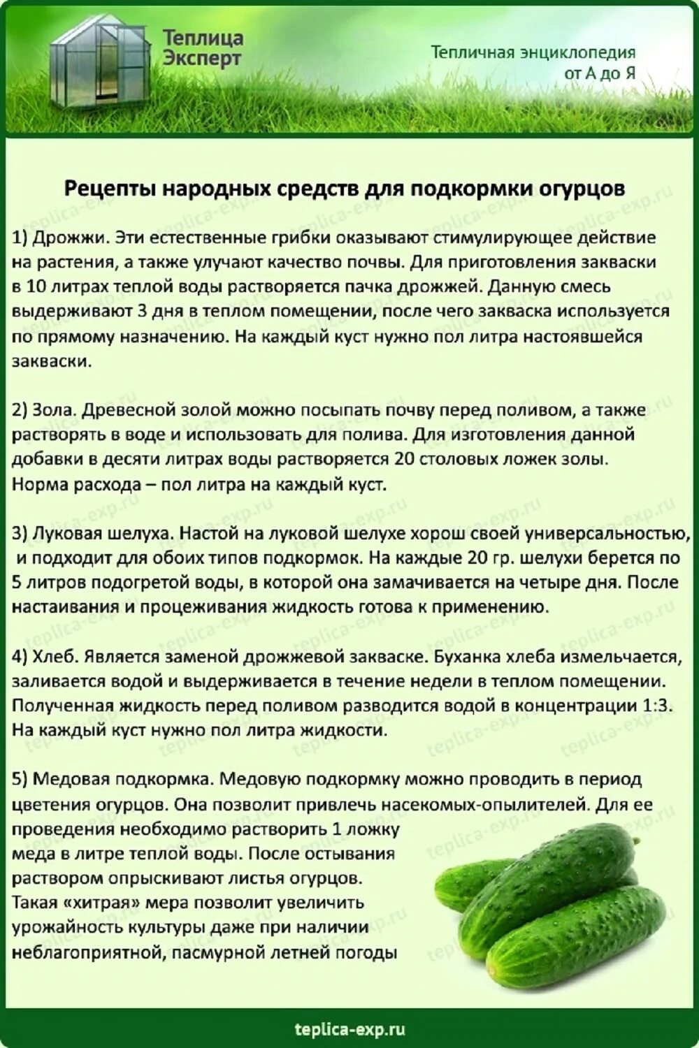 Опрыскивание помидор огурцов. Схема внесения удобрений для огурцов. Схема удобрения огурцов в открытом грунте. Подкормка огурцов. Схема подкормки огурцов в теплице.