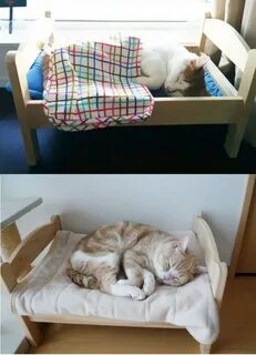 Место для сна кота