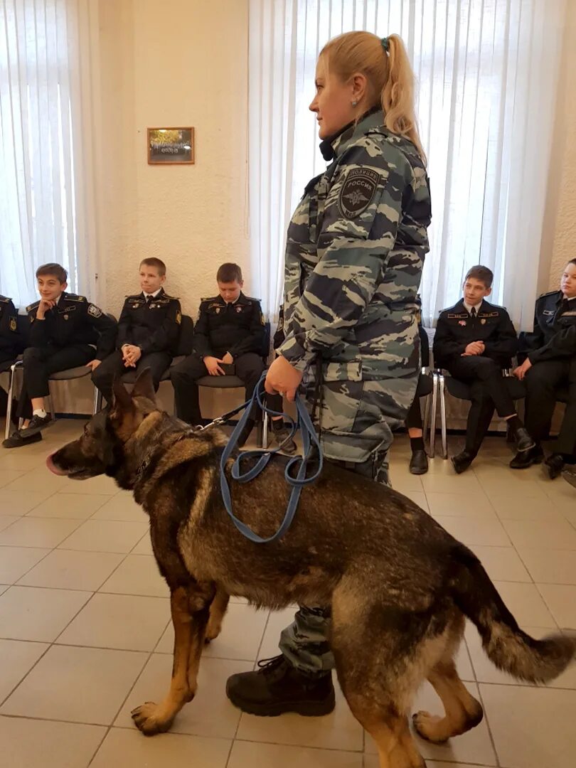 Иркутский аграрный техникум кинология. Колледж кинологи спб. Константиновский колледж кинологи. Идрицкий колледж кинолог. Санкт-петербург кинолог университет.