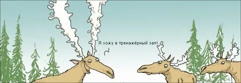 Олень карикатура