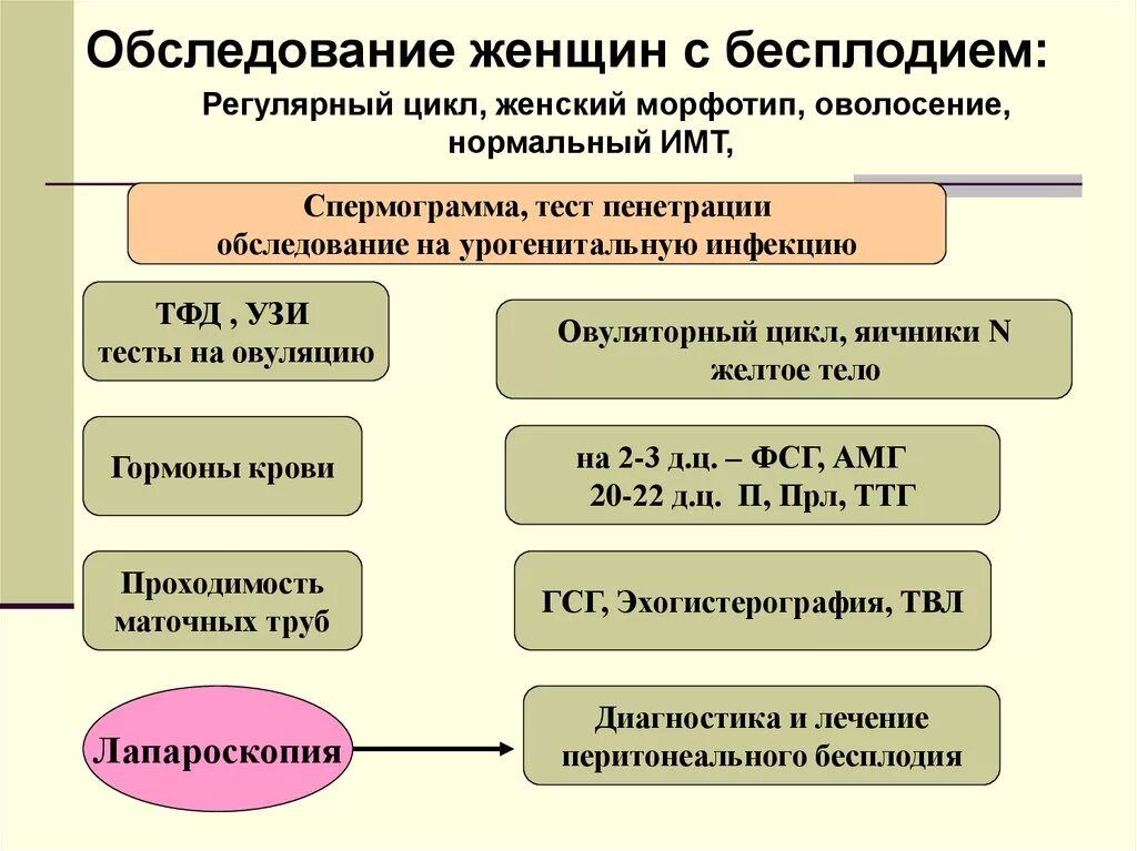 Женское бесплодие алгоритм обследования. Методы обследования при бесплодии. Обследование при бесплодии у женщин. Алгоритм обследования при бесплодии. Бесплодие 1 степени