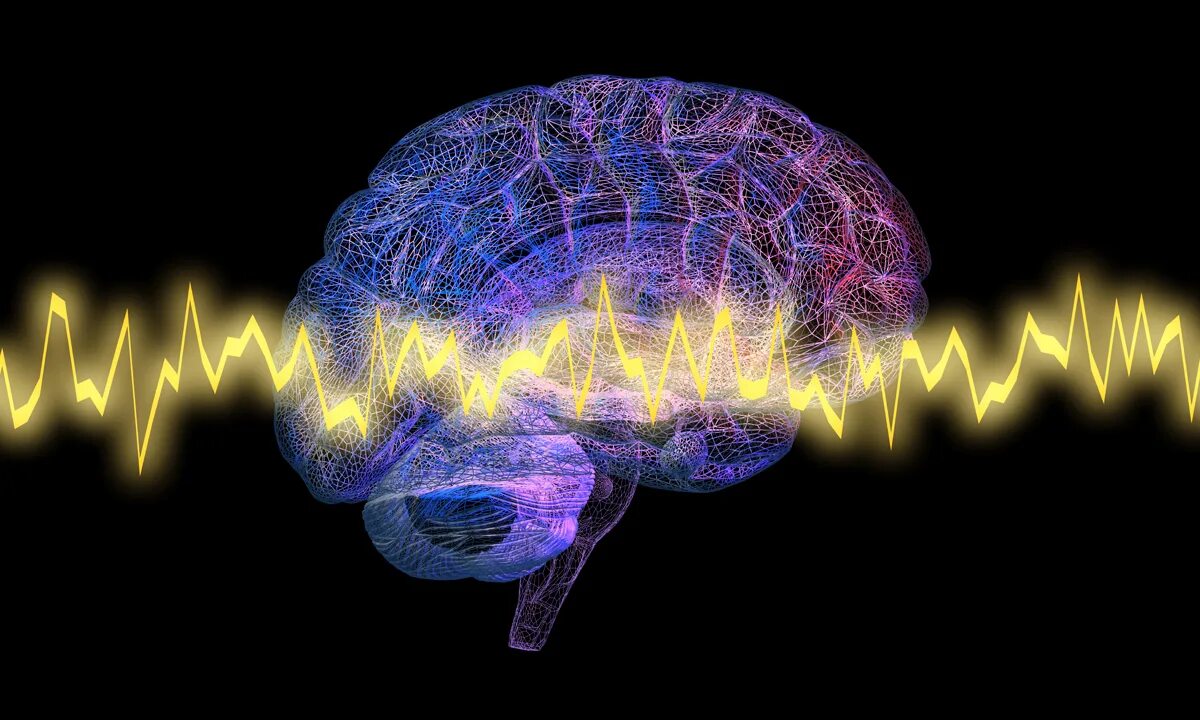Brainwave. Нейробиология мозга. Электрические импульсы мозга. Звук и мозг.