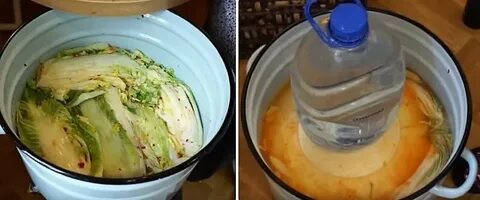Как сохранить пекинскую капусту на зиму