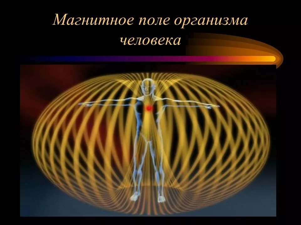 Ток в живых организмах. Спектр магнитного поля человека. Магнитное поле человека. Электромагнитное поле человека. Магнитное птлечеловека.