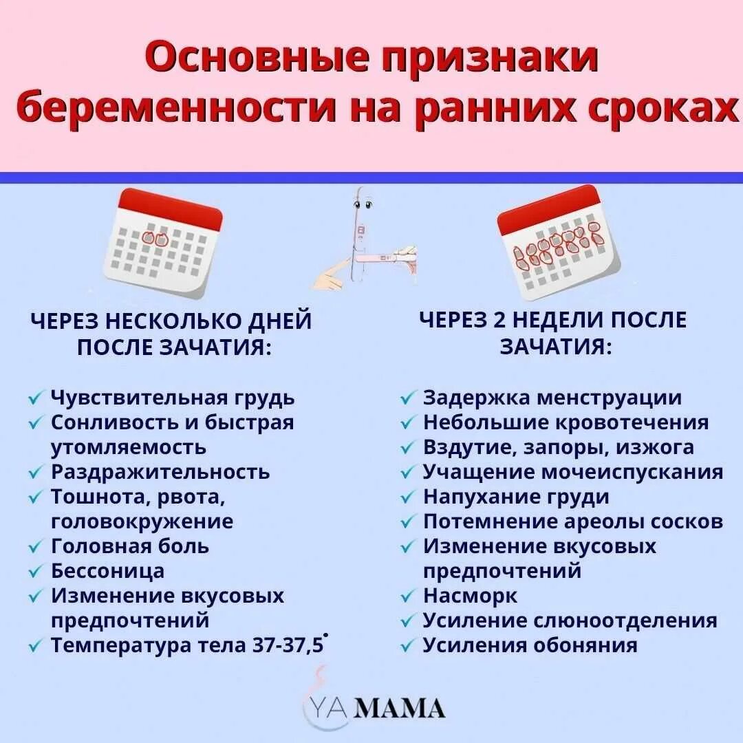 Тошнит на первой неделе. Первичные симптомы беременности. Симптомы беременности на ранних сроках до задержки месячных. Начальные симптомы беременности. Симптомы при беременности на ранних сроках.