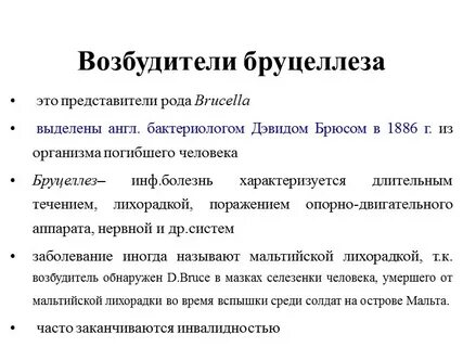 Бруцеллез возбудитель