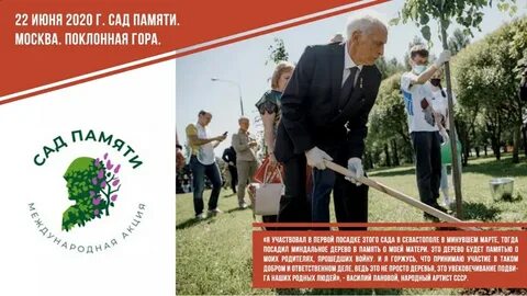 Текст песни сад памяти