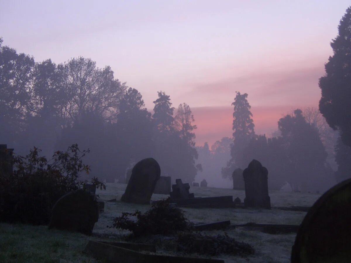 Meet you at the graveyard sovan truong. Кладбище Эстетика. Мрачное кладбище. Кладбище в тумане. Эстетика кладбище в тумане.