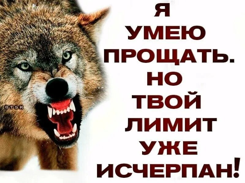 Лимит доверия исчерпан. Пишет лимит исчерпан. Ограничения мем. Лимит доверия исчерпан жизнь научила. Пишет лимит исчерпан.