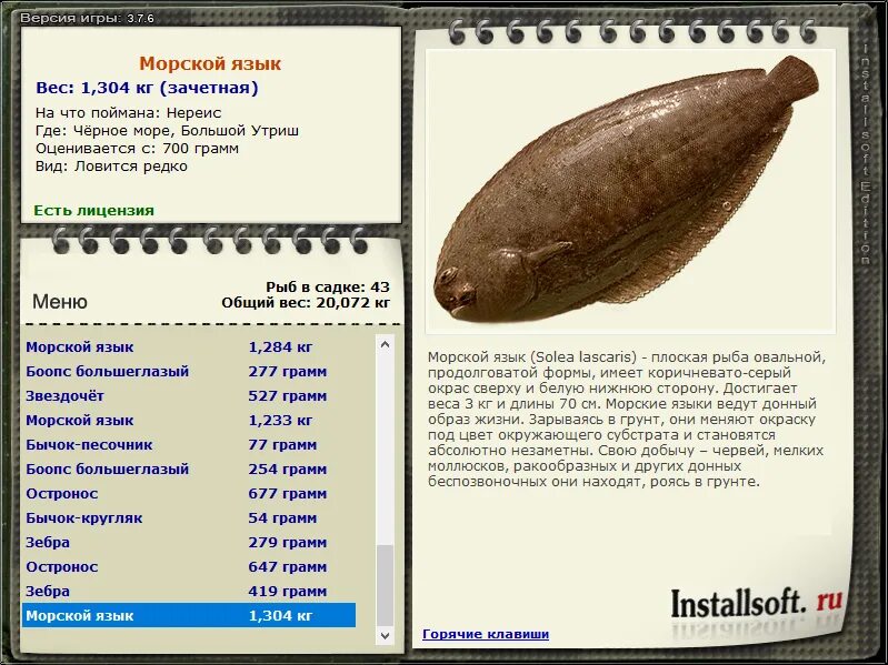 язык синего кита весит больше слона. рыба продолговатой формы. сколько весит синий кит. бычок черноморский мартовик. строение языка у человека вид сбоку.