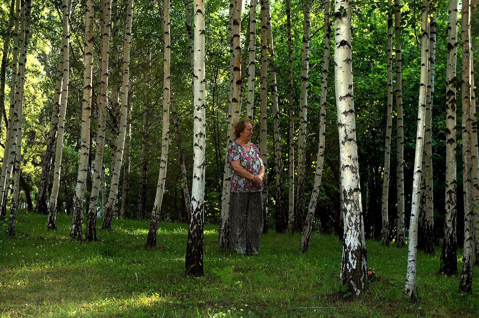 Миа Березки. Под березой. Русская Березка. Фотосессия в березах. Звезды березки