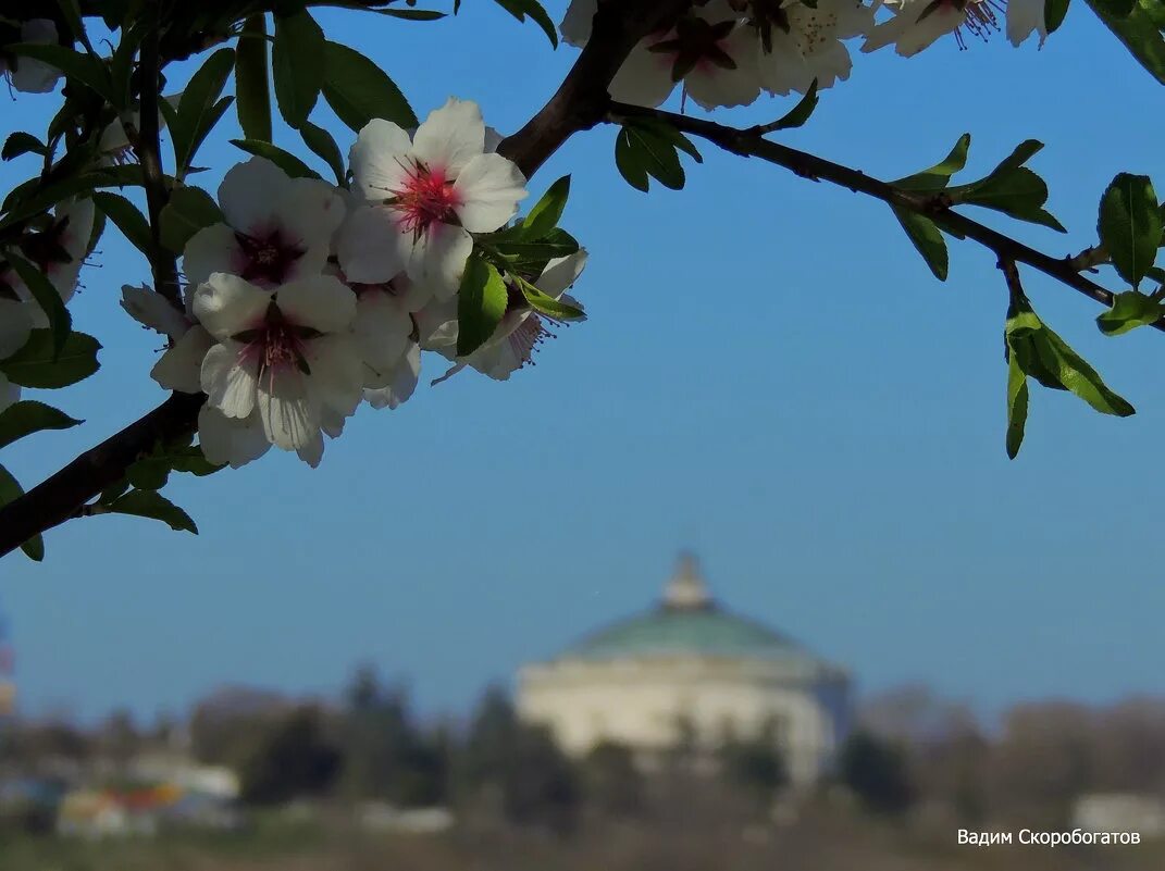 выходные в марте в севастополе