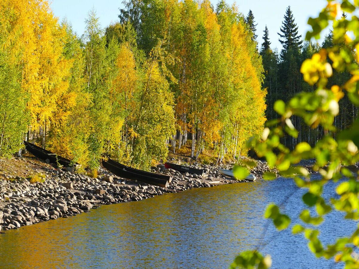 Калевала что это. Калевала Карелия. Калевала поселок в Карелии. Калевала Карелия осенью. Калевала поселок традиции.