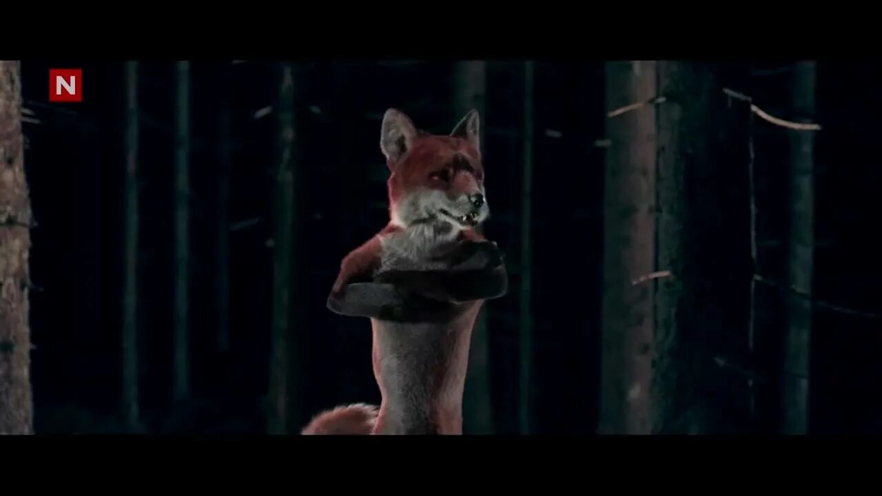 Saw the fox. Лиса из клипа. What does the Fox say клип. Лиса клип. Что говорит лиса клип.