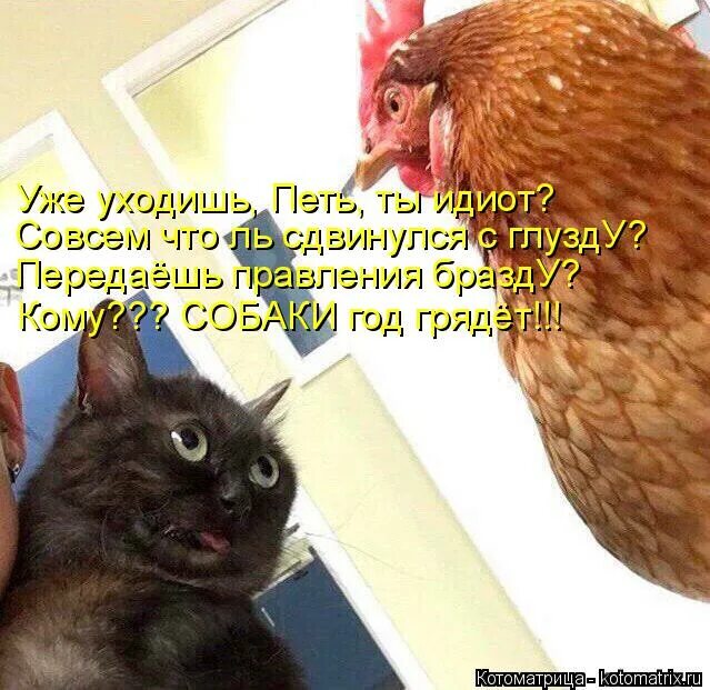ушедшим я пою