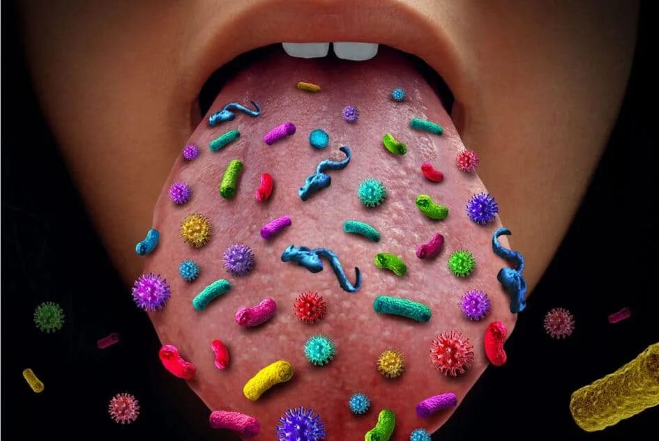 Сколько бактерий во рту
