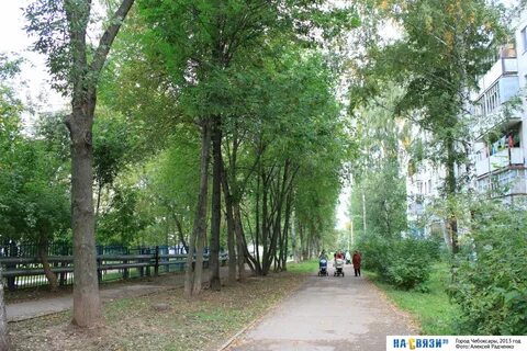 Волжский бульвар чебоксары