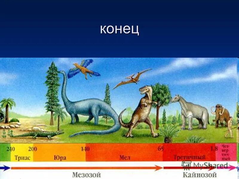 периоды земли палеозой мезозой. складчатости таблица. складчатость мезозойской эры. горы мезозойской складчатости в россии. мезозойская складчатость.