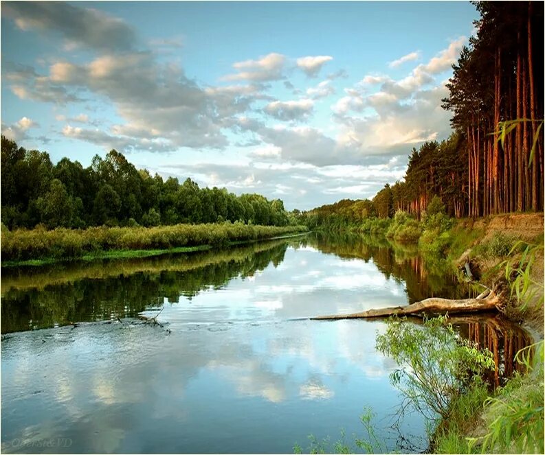 Эх река река. Назас река Междуреченск. Речка реченька река. Под речкой. Речечка река.