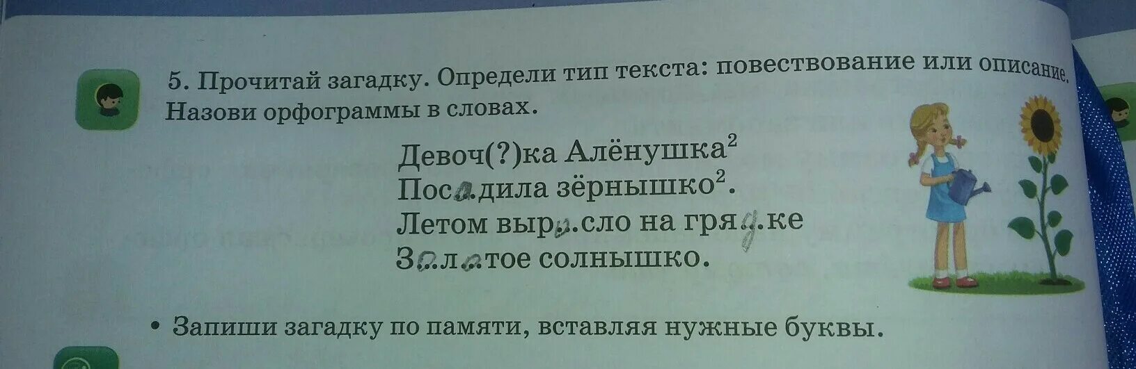 Орфограмма в слове девочка. Орфограмма в слове девочка подчеркнуть. Орфограмма в слове зернышко. Девчонка орфограмма. Орфограмма слова вырасти