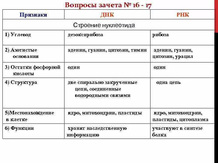 Местоположение клетки. Строение и функции ДНК И РНК таблица. Строение молекулы ДНК И РНК таблица. ДНК И РНК сходства и различия таблица. Сравнительная характеристика нуклеиновых кислот ДНК И РНК.