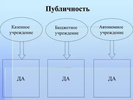 Принцип публичности