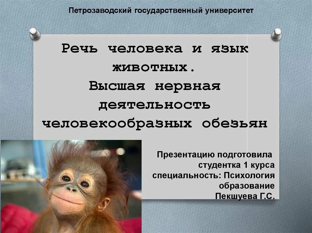 Какой язык для человекообразных обезьян. Высшая нервная деятельность у человекообразных обезьян. внд человека и человекообразной обезьяны. речь животных и человека. речь человека и животного.