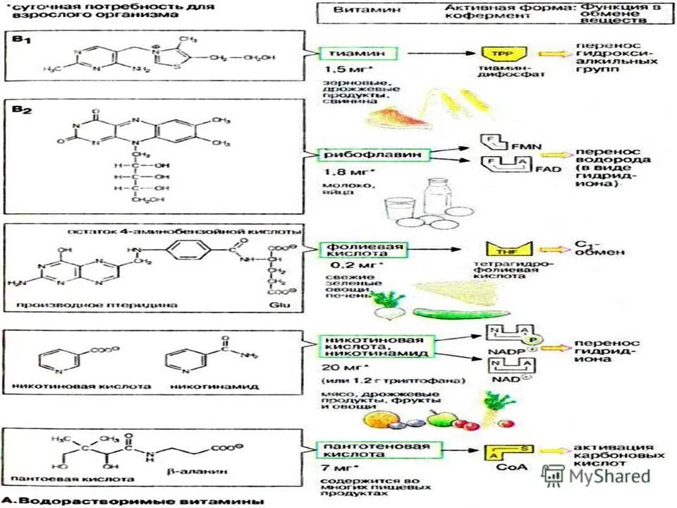 Обмен витаминов биохимия. Формулы жирорастворимых витаминов биохимия. Классификация и номенклатура витаминов биохимия. Структура жирорастворимых витаминов биохимия. Жирорастворимые витамины строение биохимия.