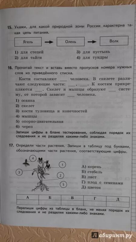 Окружающий мир 4 класс годовая работа. Окружающий мир 4 класс итоговая работа за курс начальной школы. Типовые тестовые задания за курс начальной школы родной. Гребнева итоговые работы по русскому языку за курс начальной школы. Белозера окружающий за курс начальных школы.