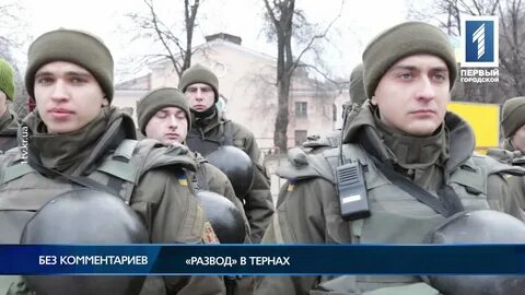 Терны новости