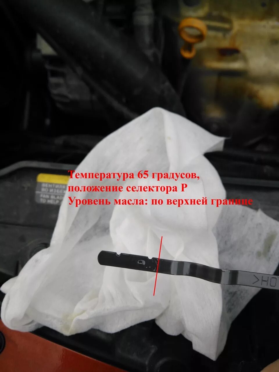 Уровень масло рено колеос. Где находится код форсунки на рено колеос. 6 вариатор. Уровень масло рено колеос. Щуп масла двигатель рено колеос 2017.