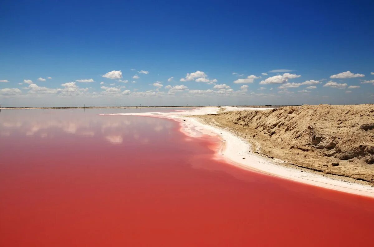 Розовый азербайджан. Озеро Масазир, Азербайджан. Озеро Масазыр. Соленому озеру Масазыр. Розовое озеро Масазыр Азербайджан.