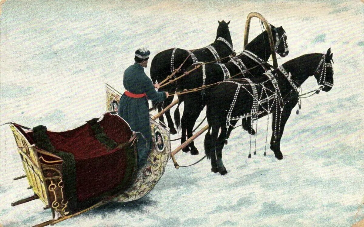 карета в упряжке лошадей. лошадь в санях. ямщик 19 века россия. царский возок. брюс в одной упряжке с петром 1.