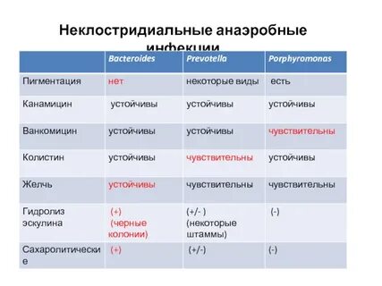 Неклостридиальная анаэробная инфекция