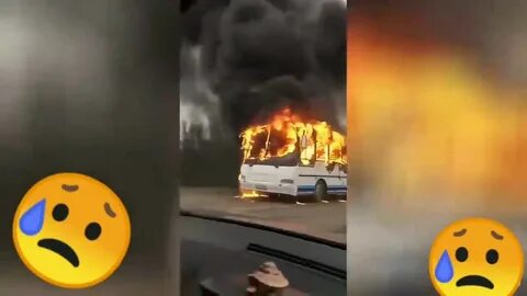 Липецк задонск автобус