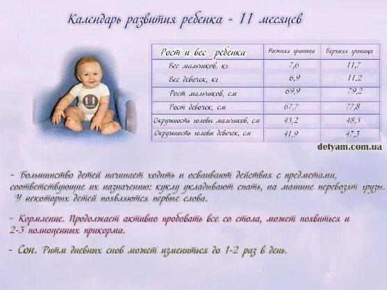Сколько съедает ребенок в 11 месяцев. 11 месяцев ребенку развитие. что должен уметь ребёнок в 11 месяцев. ребёнок 11 месяцев развитие что должен. развитие ребёнка в 11 месяцев мальчик.