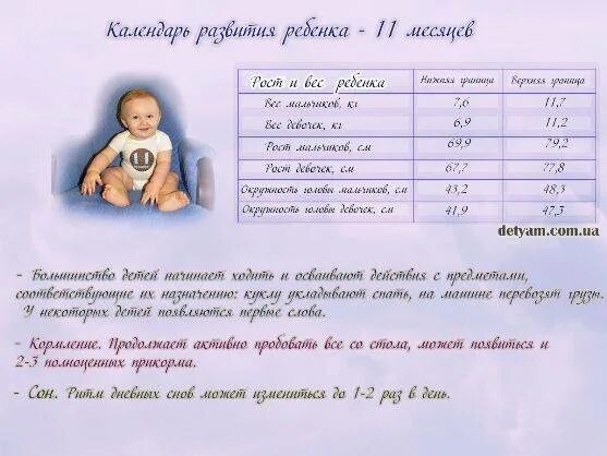 Что должен уметь ребёнок в 11 месяцев. Ребёнок 11 месяцев развитие что должен. Развитие ребёнка в 11 месяцев мальчик. Что должен ребенок в 11 месяцев.