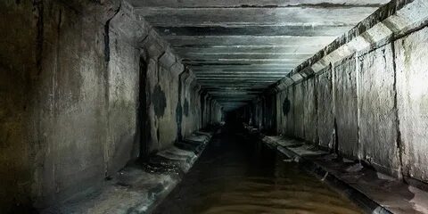 Первый коллектор