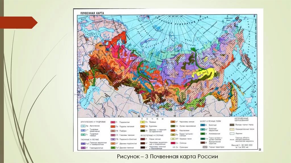 Тематическая карта россии. Карта почв России атлас по географии 8 класс. Карта плодородия почв России атлас 8 класс. Карта почвы России 8 класс география. Контурная карта почвы России.